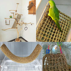 Hamiledyi tapis suspendu en cage avec oiseau, stimule activité
