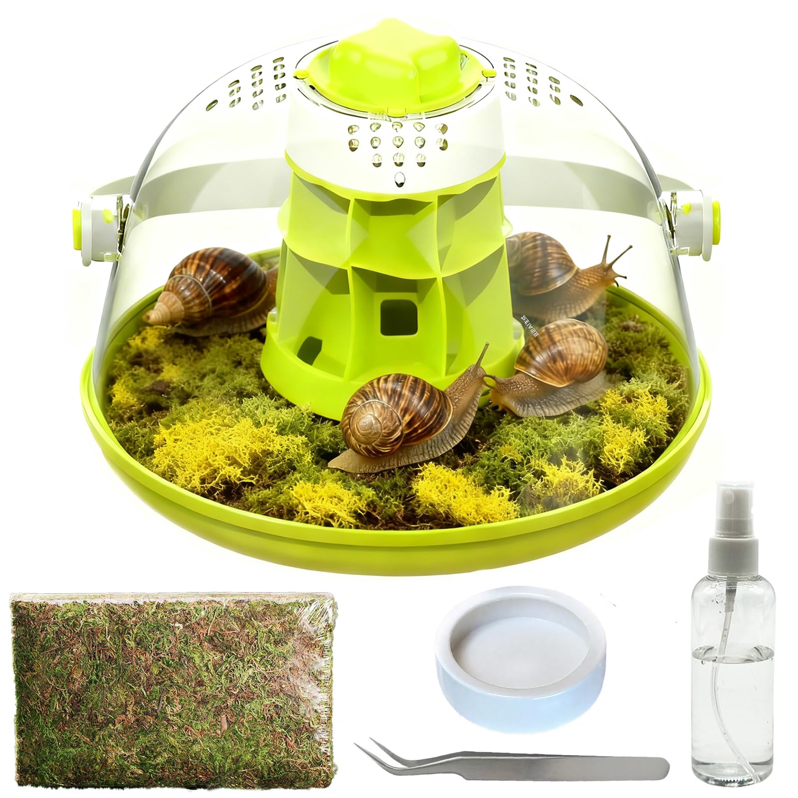 Hamiledyi terrarium escargot vue avant visibilité optimale