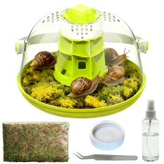 Hamiledyi terrarium escargot vue avant visibilité optimale
