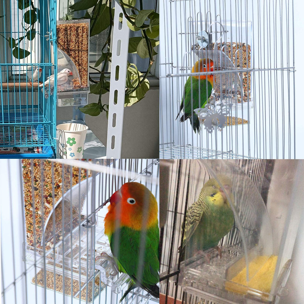 Hamiledyi détail acrylique transparent pour voir niveau de graines
