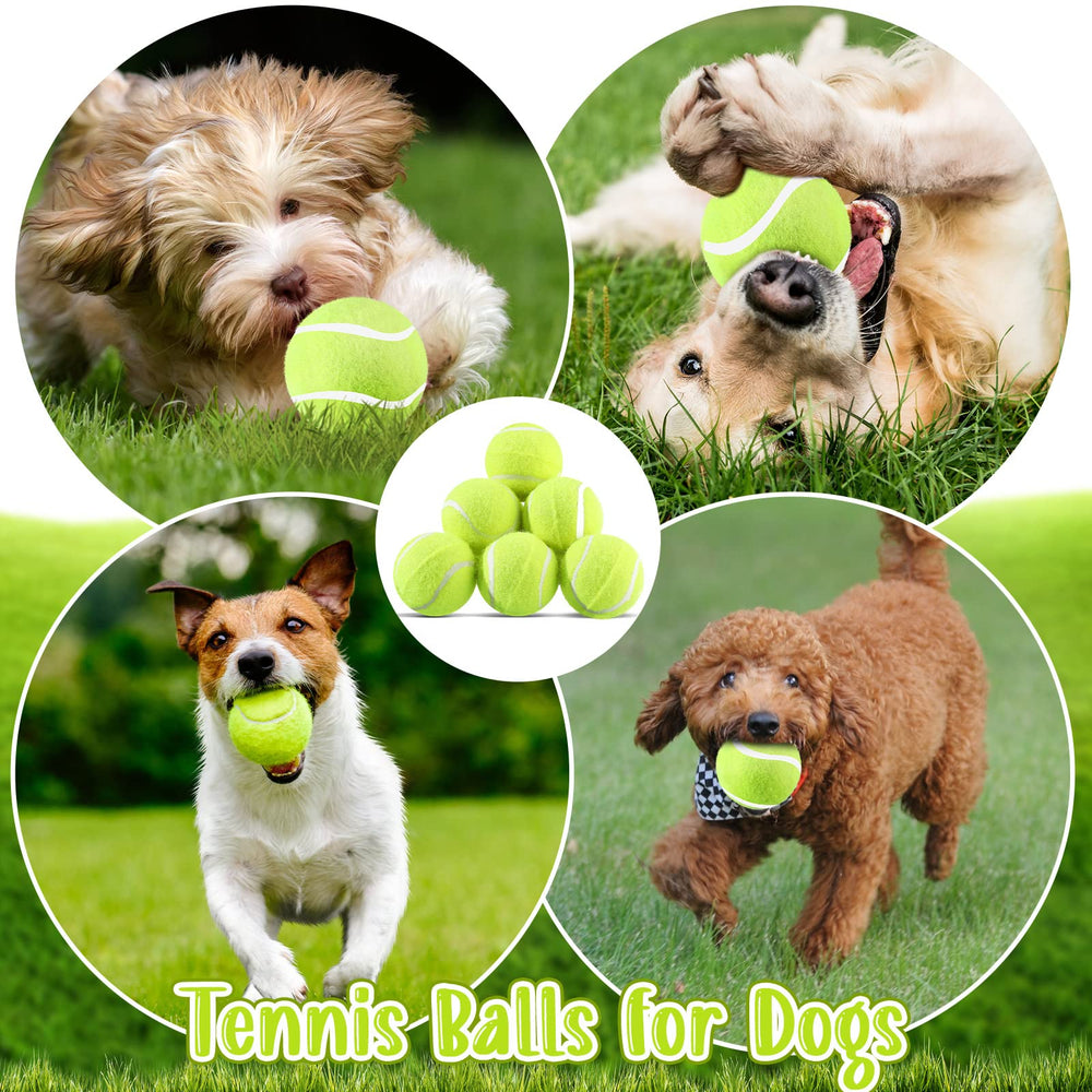 Vingt balles Hanaive alignées illustrant quantité suffisante pour remplacements
