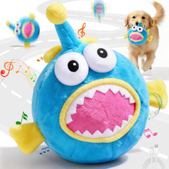 Hanarook Lanternfish face avant montrant le design attractif et la base rebondissante
