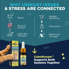 Handy Hound gouttes CalmStream administrées en main pour dosage facile