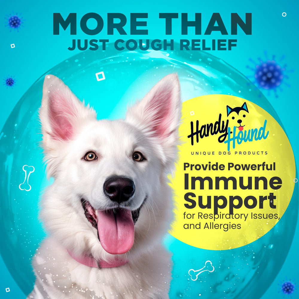Handy Hound pipette versant sirop sur la nourriture pour acceptation facile