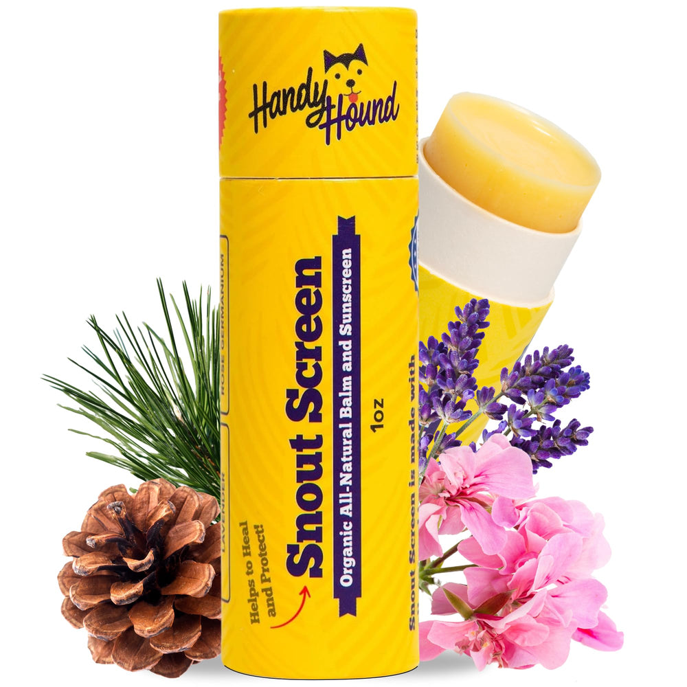 Handy Hound stick face avant montrant le design pratique et transportable