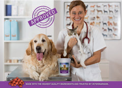 Hanzi Pets emballage affichant labels cGMP et garantie sans polluants