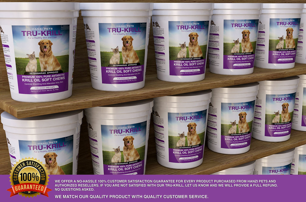 Hanzi Pets chien heureux en extérieur suggérant pelage brillant