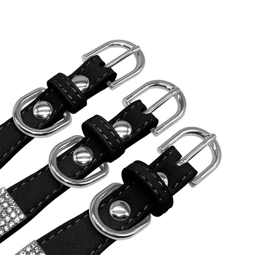 Haoyueer collier porté par chien en promenade, style et maintien garantis