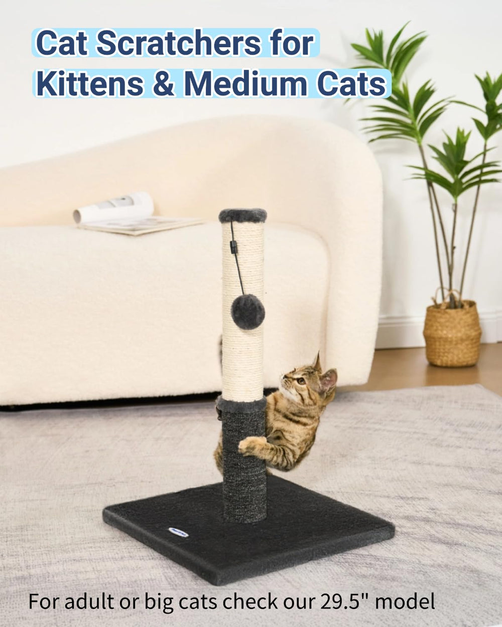 Happi N Pets chaton utilise le griffoir étirement complet et amusement