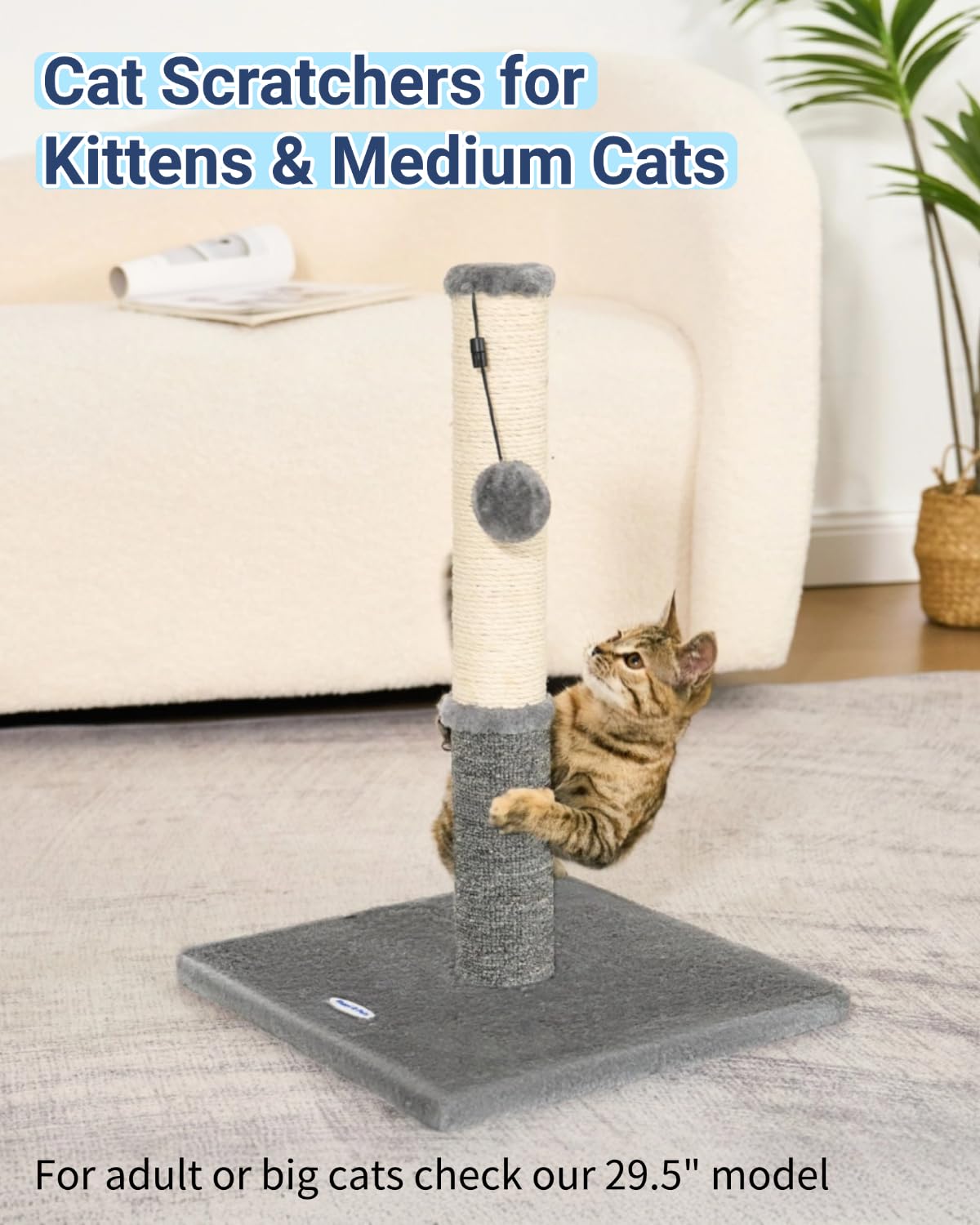 Happi N Pets comparaison d'échelle avec main pour visualiser la hauteur utile