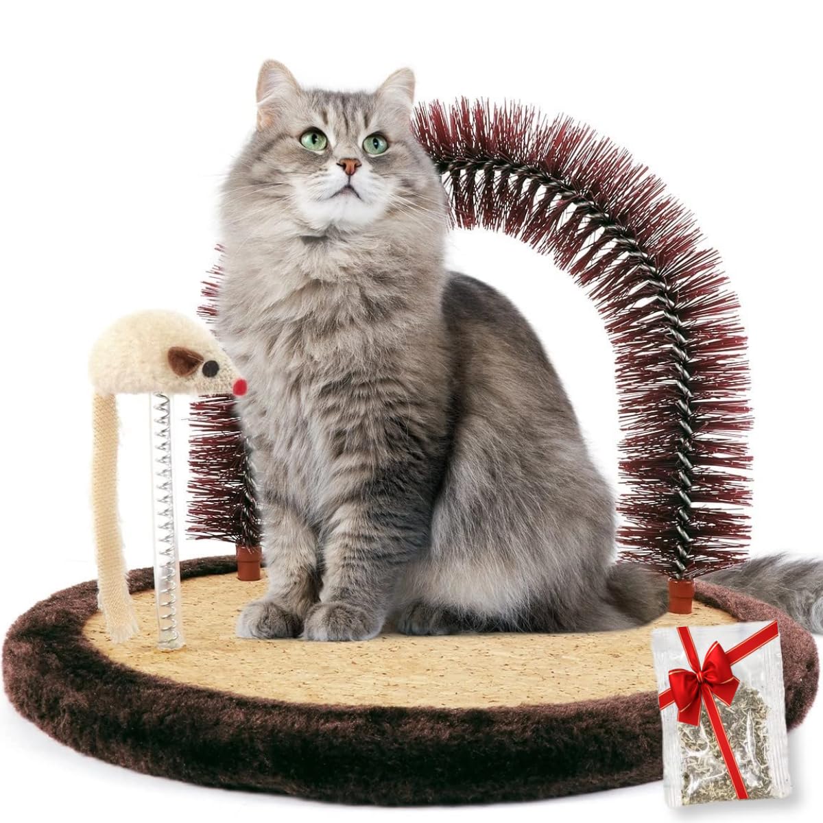 Happi N Pets vue avant du produit montrant stabilité et design pratique