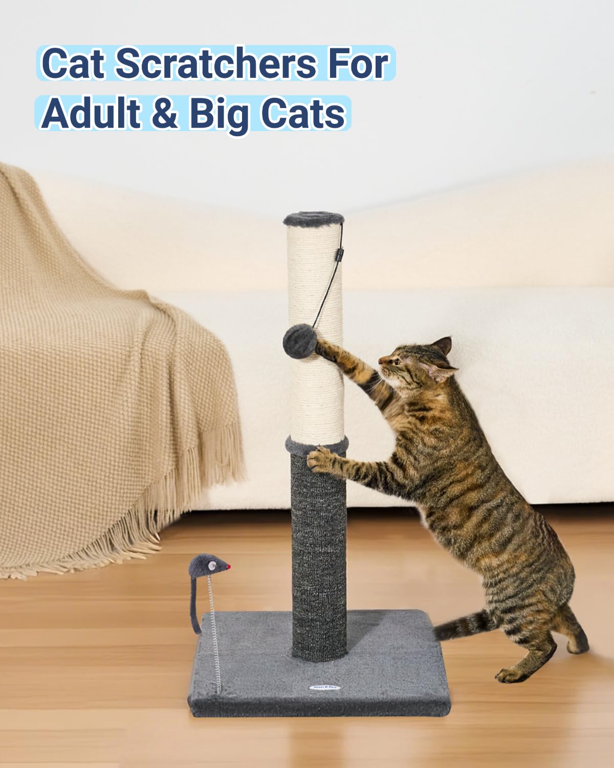 Happi N Pets comparaison d'échelle montrant hauteur de 75 cm
