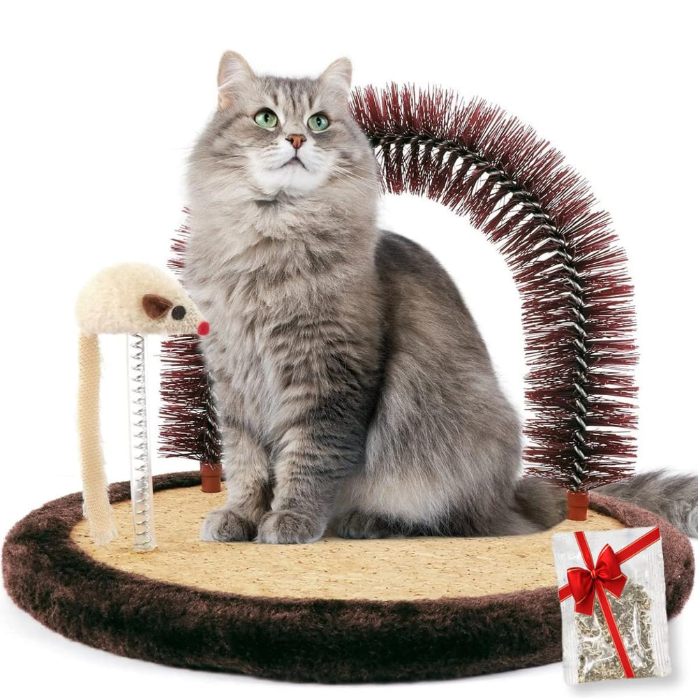 Happi N Pets vue avant du groomer montrant forme et taille, réduit poils