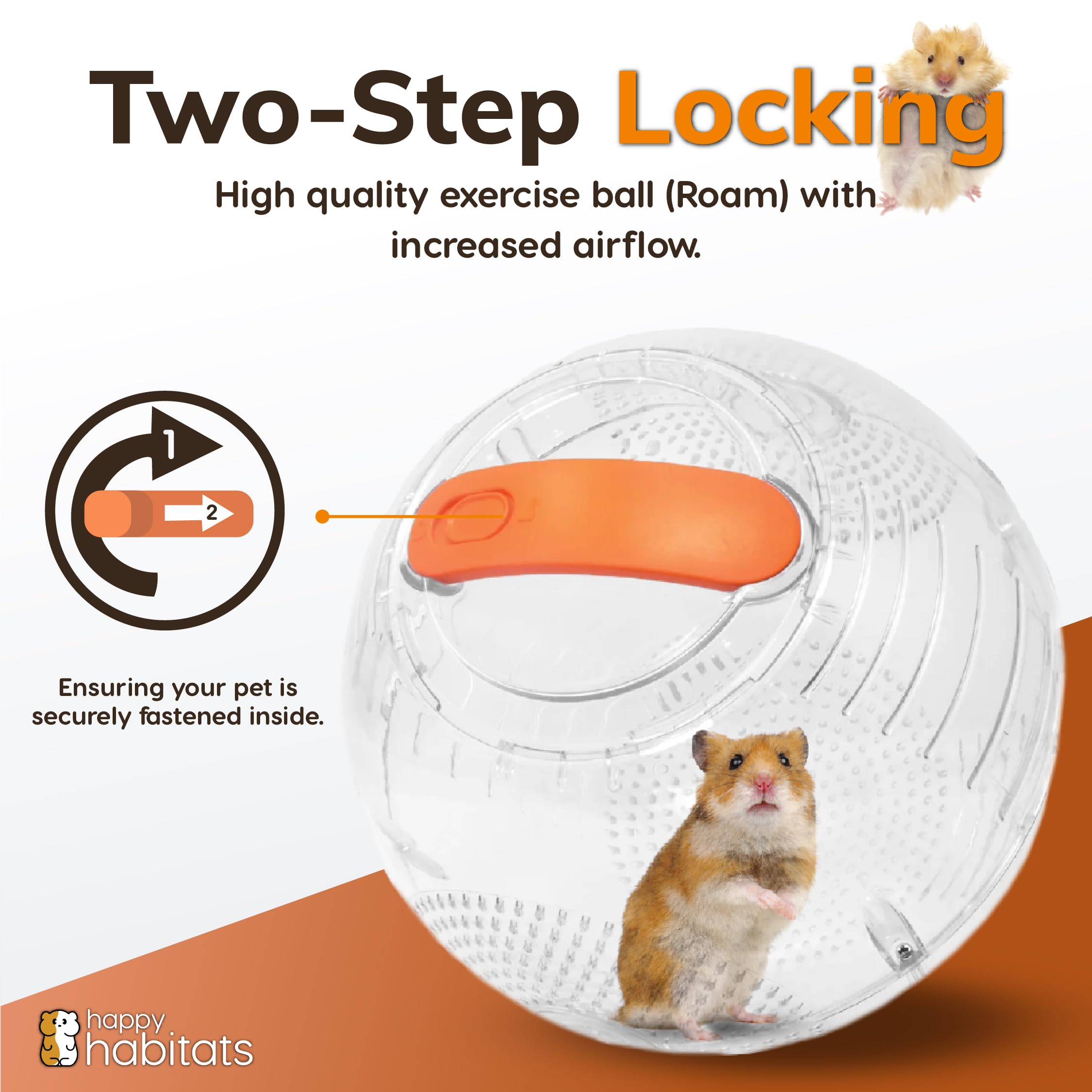 Happy Habitats hamster en usage sur sol pour exercice et observation