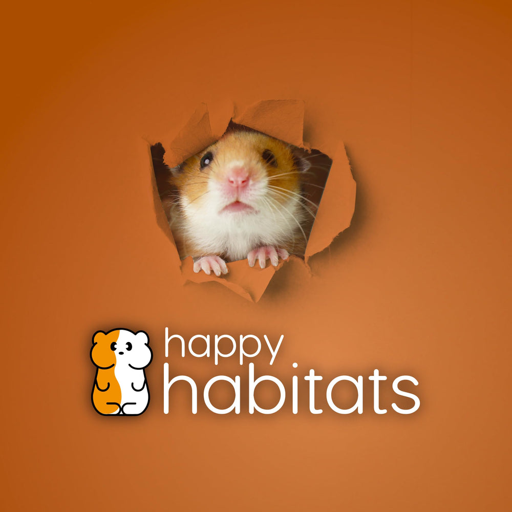 Happy Habitats mise en scène salon montrant accessibilité ludique