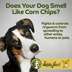 HAPPY JACK mousse blanche appliquée pour apaiser la peau du chien