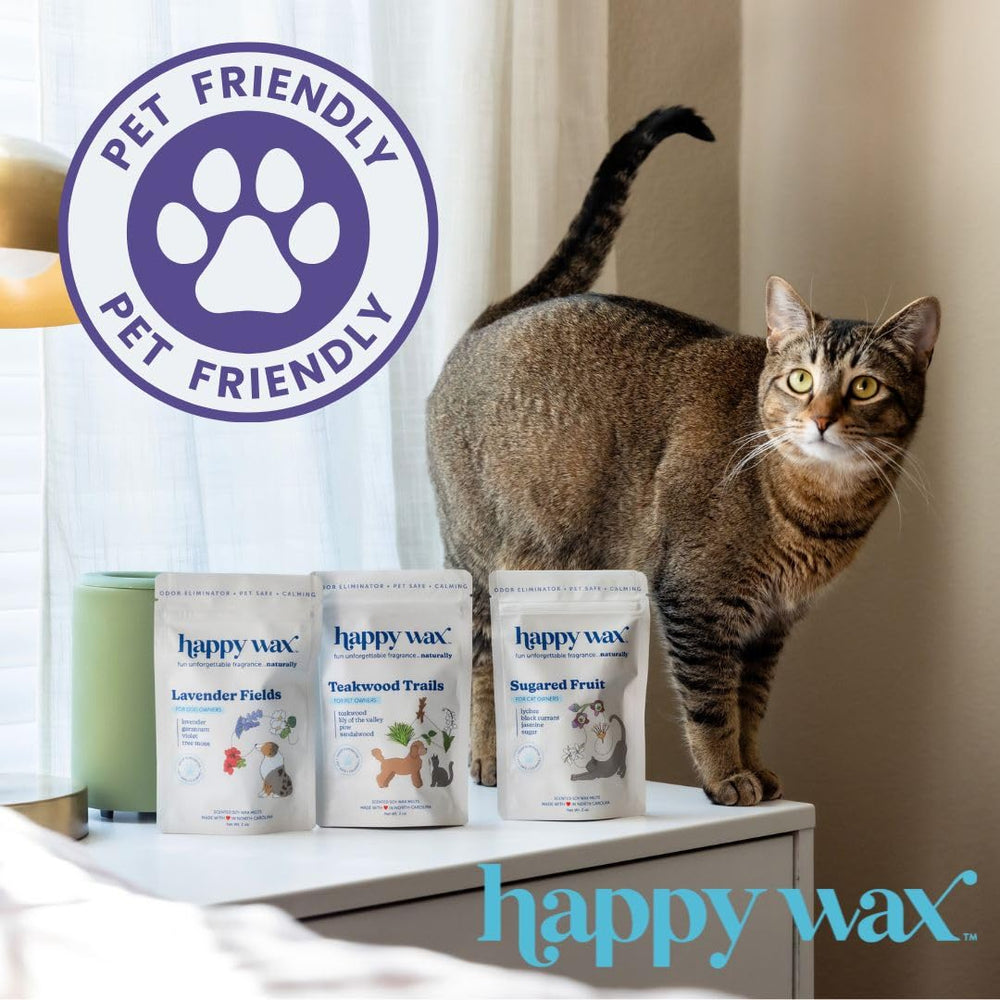 Happy Wax: scène de salon avec animaux montrant atmosphère apaisée et fraîche