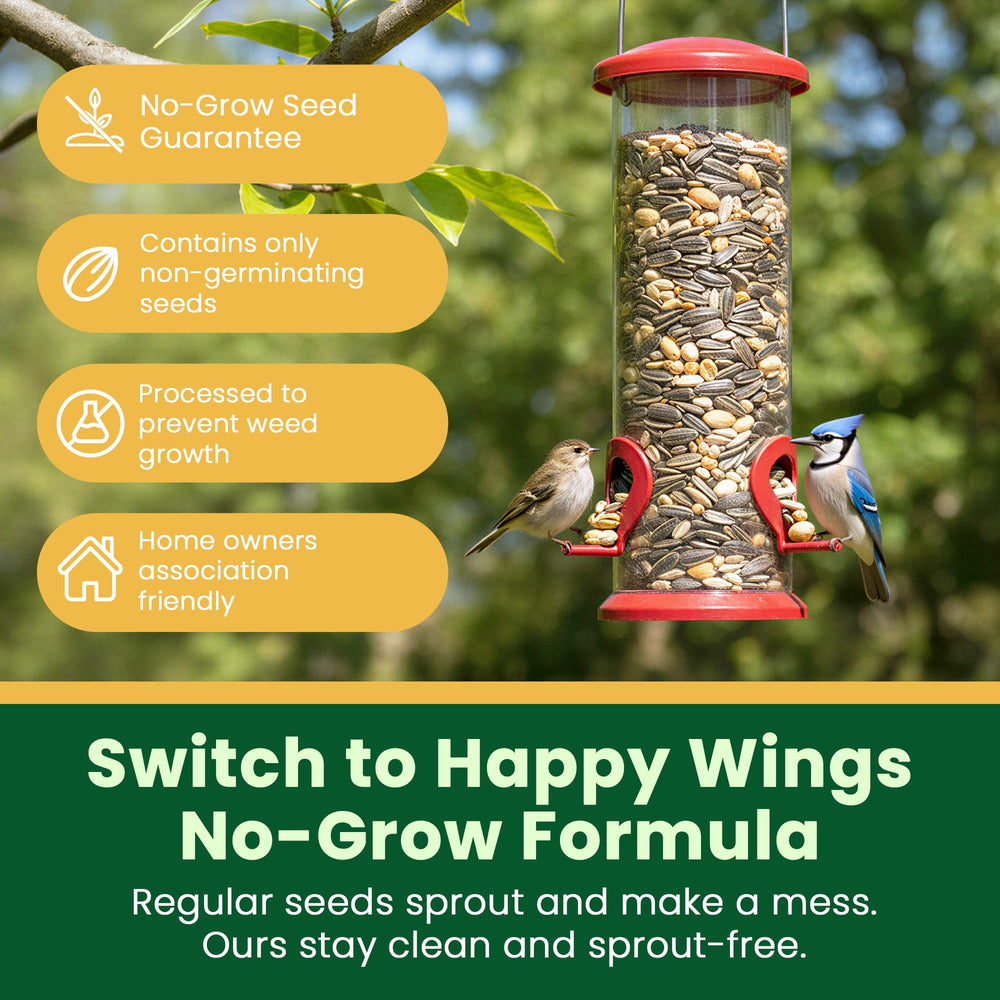 Happy Wings gros plan des graines montrant qualité et attractivité