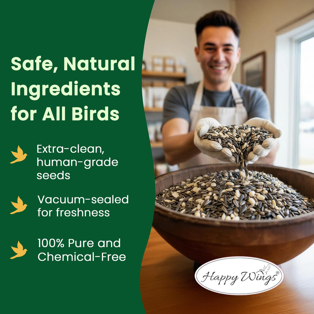 Happy Wings mangeoire en usage attirant plusieurs oiseaux pour observation