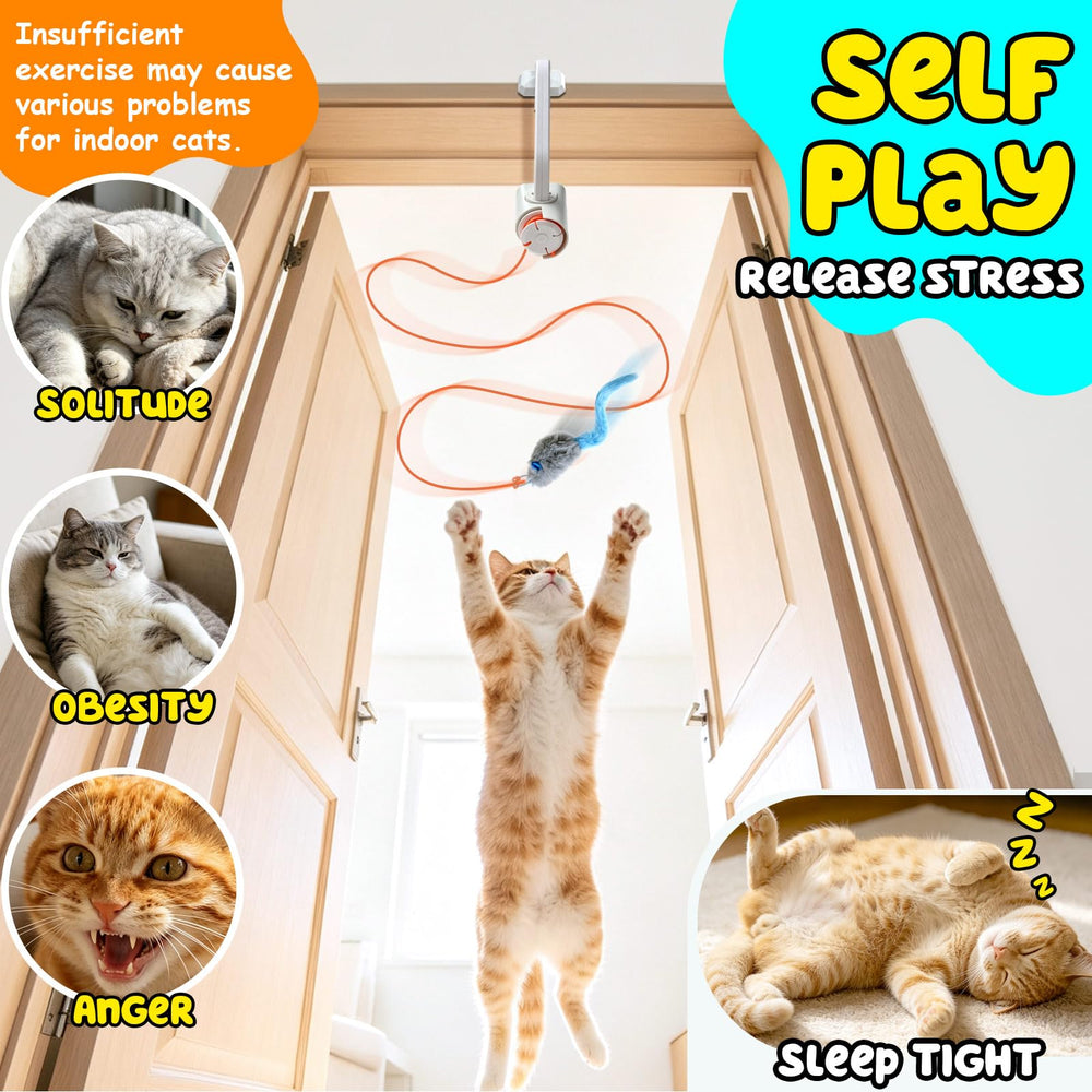 HAPPYCODE clochette en détail pour attirer auditivement le chat