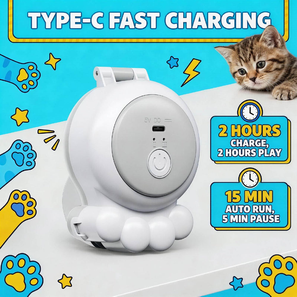 HAPPYCODE comparaison de taille avec un chat illustrant proportions réalistes