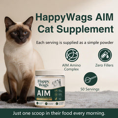 HappyWags texture de la poudre en gros plan pour une meilleure dispersion