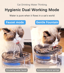 HAPUP gros plan filtre montrant filtration multiple pour eau plus propre