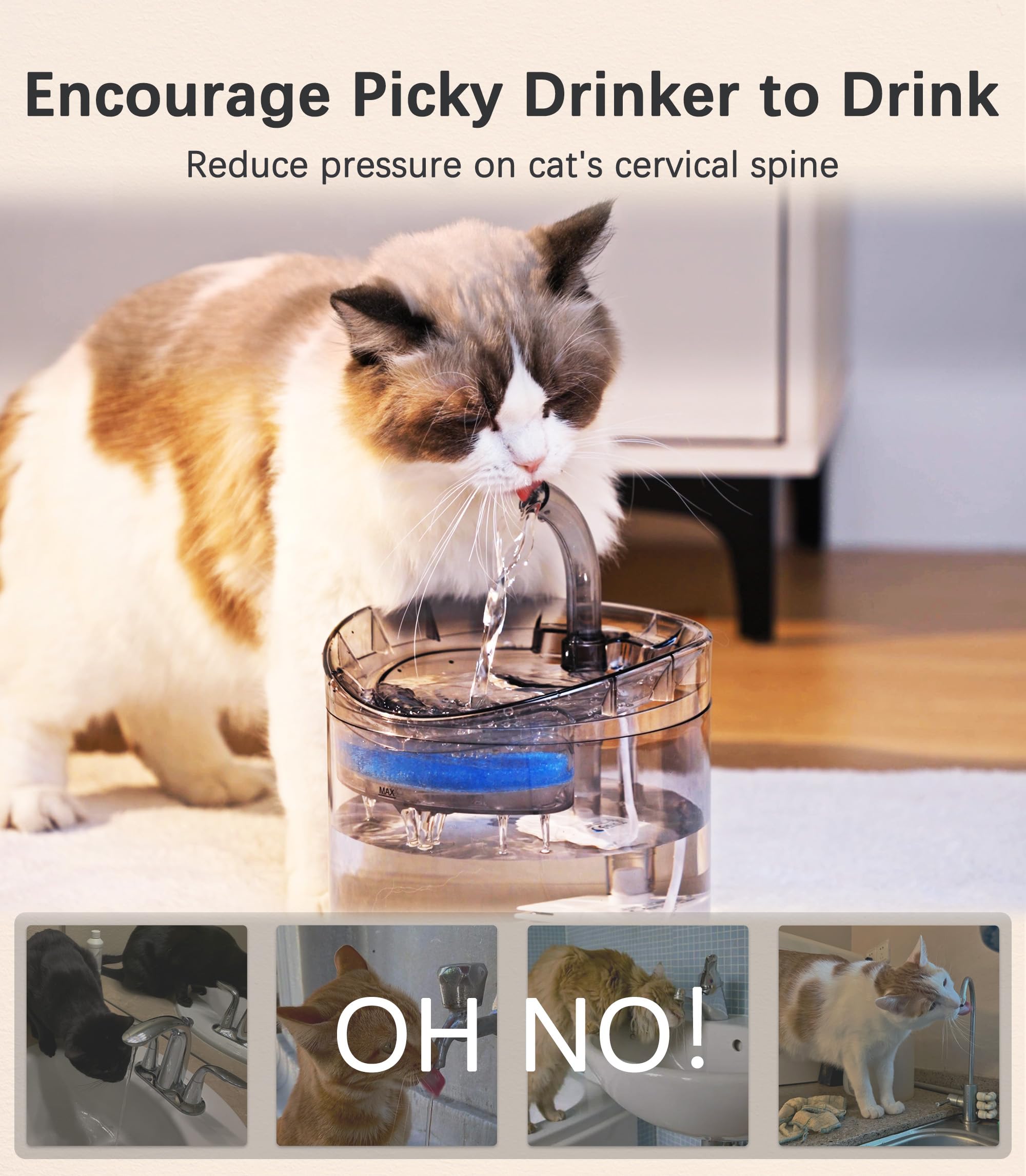 HAPUP fontaine dans salon favorisant hydratation pratique pour chats