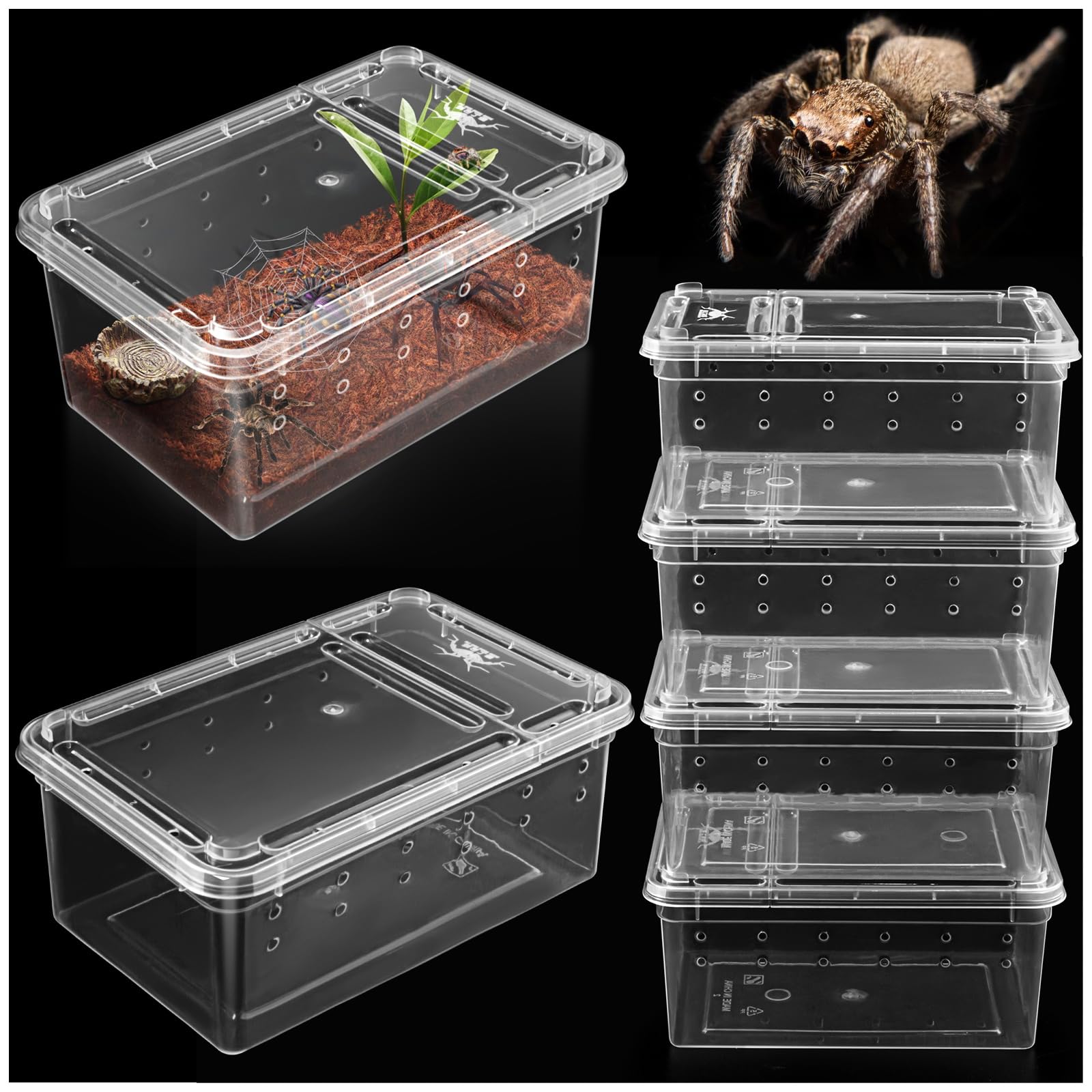 Harhana boîte terrarium avant montrant format compact et visibilité pour observation