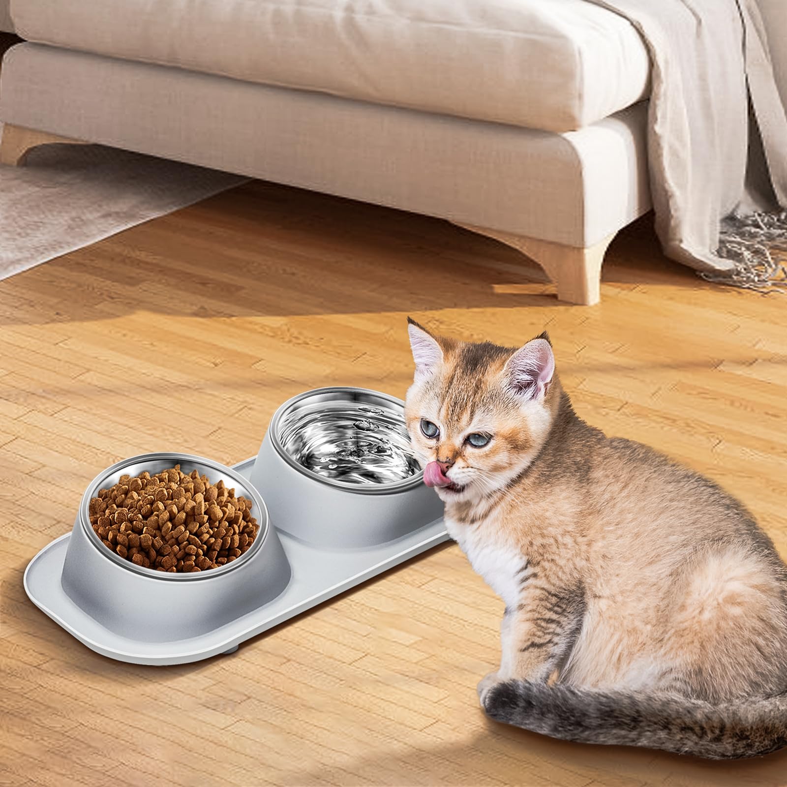 Harhana scène de vie chat mange confortablement réduisant contrainte du cou