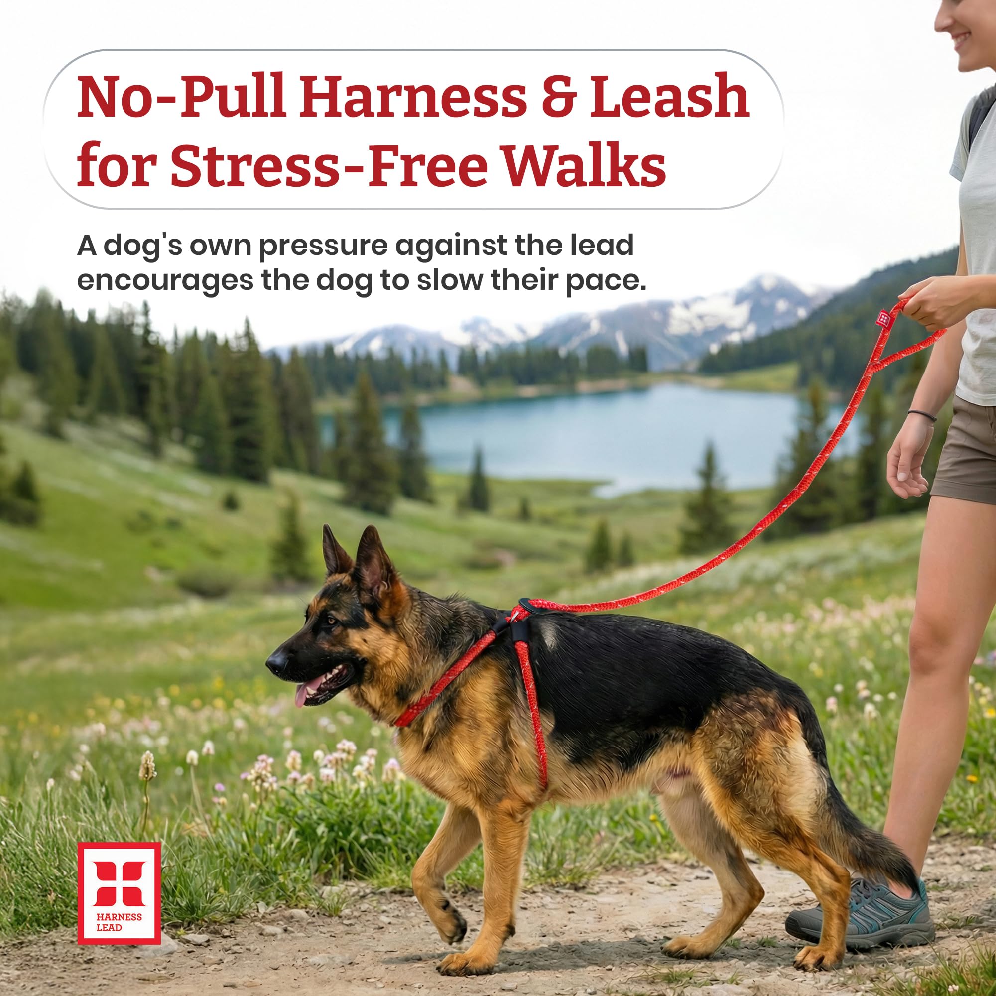 Harness Lead gros plan sur la corde rembourrée montrant durabilité et confort