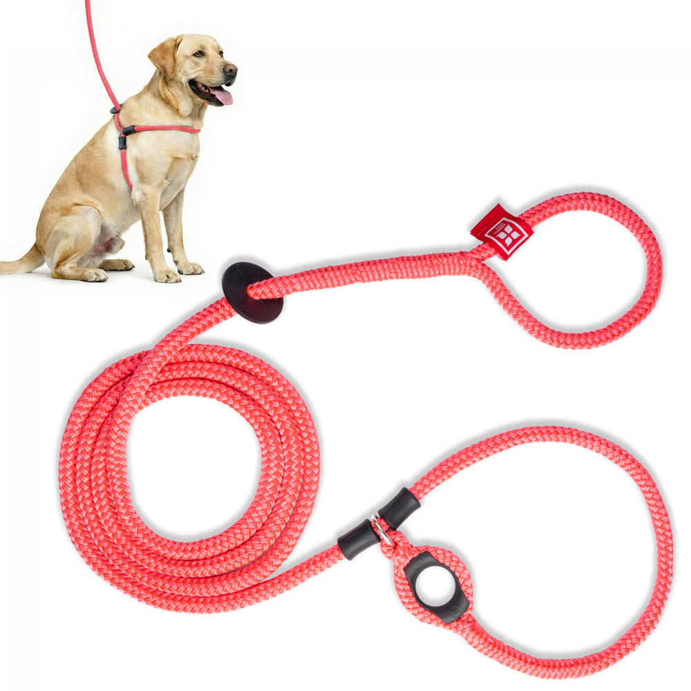 Harness Lead vue avant du harnais rose présentant la construction une pièce et confort