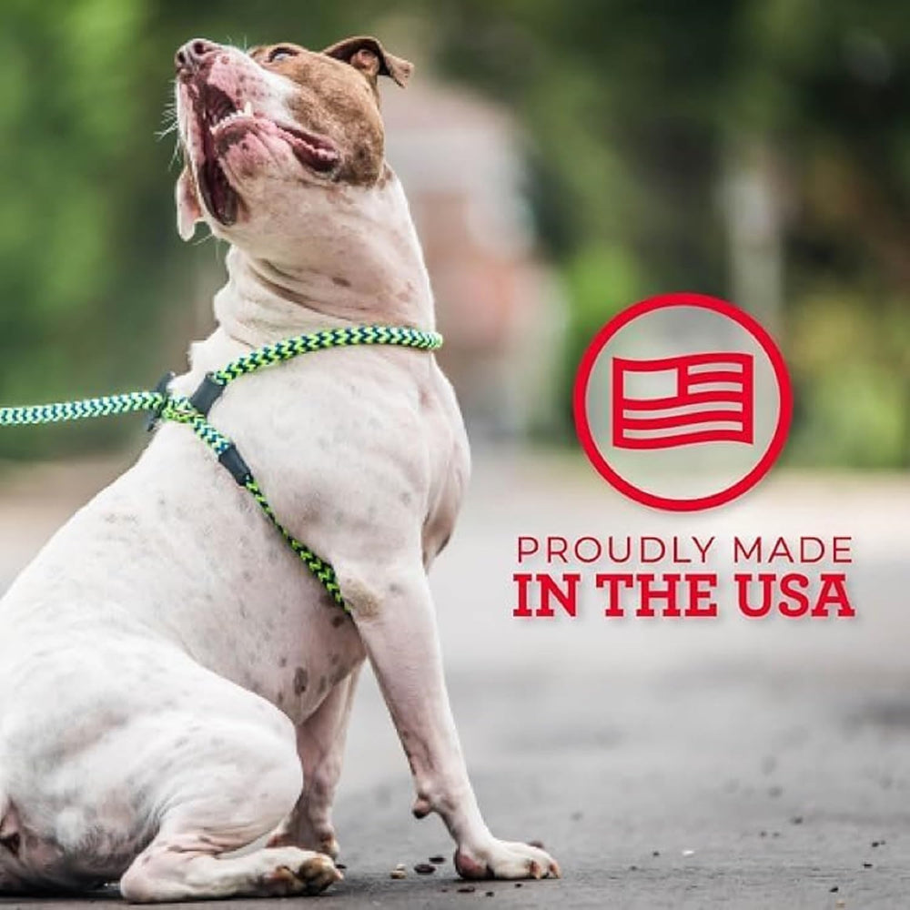 Harness Lead étiquette packaging fait main aux États-Unis pour qualité