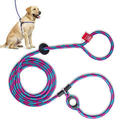 Harness Lead vue avant du harnais et de la laisse montrant l'ensemble prêt à l'emploi, confort immédiat