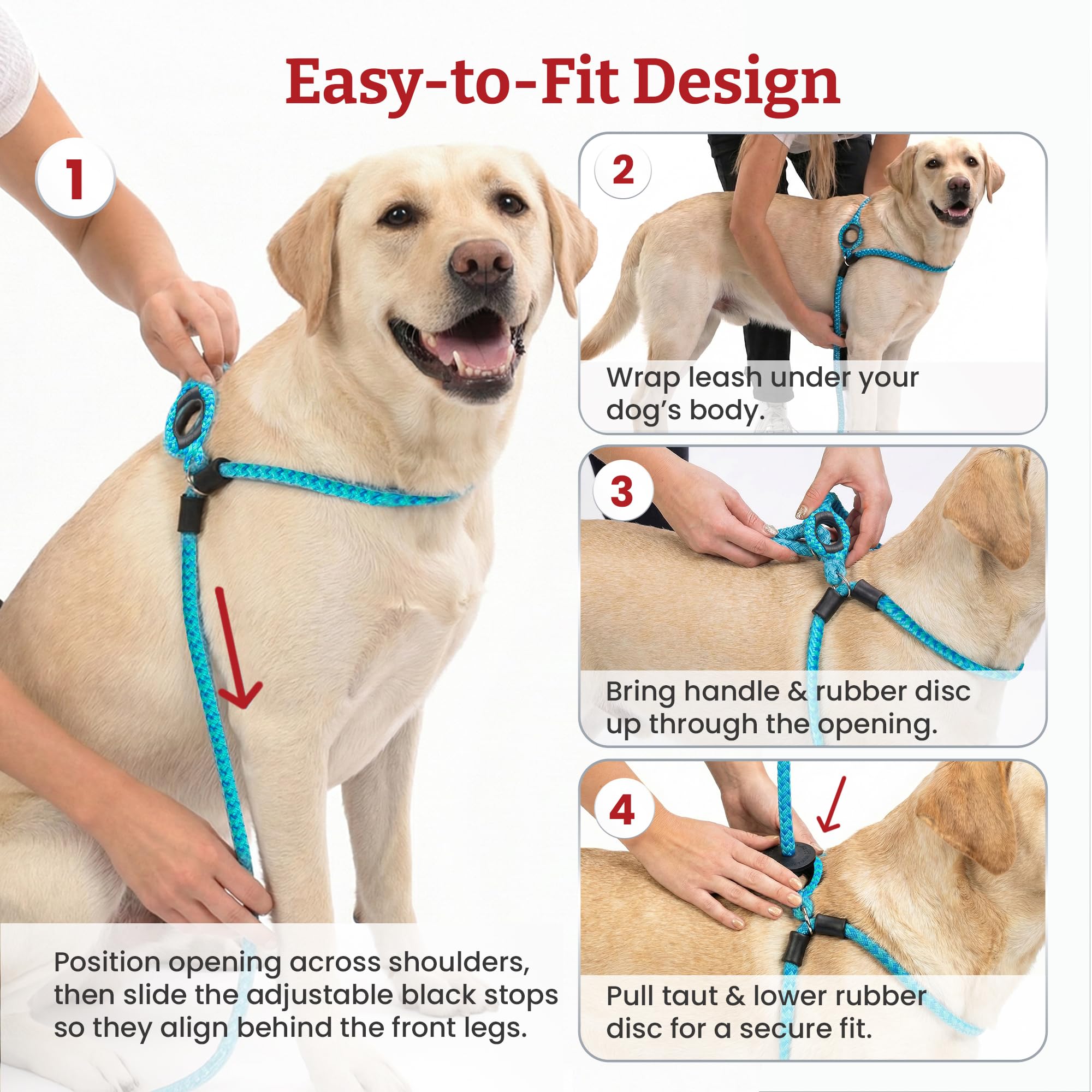 Harness Lead harnais porté par un chien en promenade démontrant contrôle apaisant