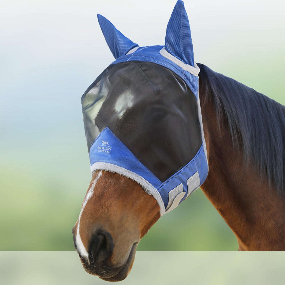 Harrison Howard vue avant du masque royal blue protégeant le visage du cheval
