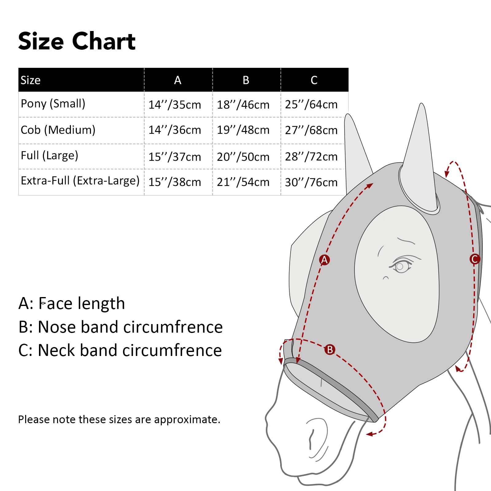 Harrison Howard comparaison taille L sur cheval pour ajustement sûr