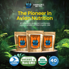 Harrison's texture des grains et légumineuses pour une nutrition dense