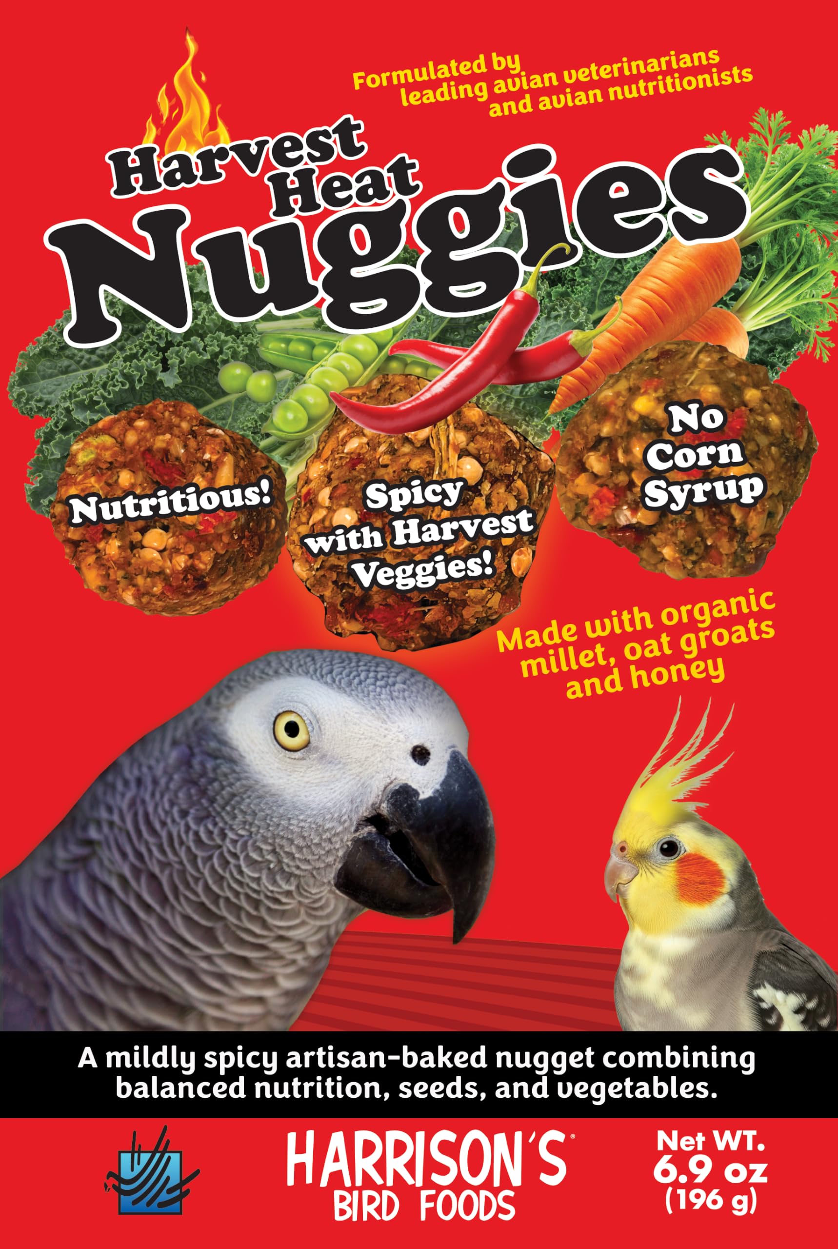 Perroquet mangeant des Harvest Heat Nuggies Harrison's illustrant stimulation du comportement naturel