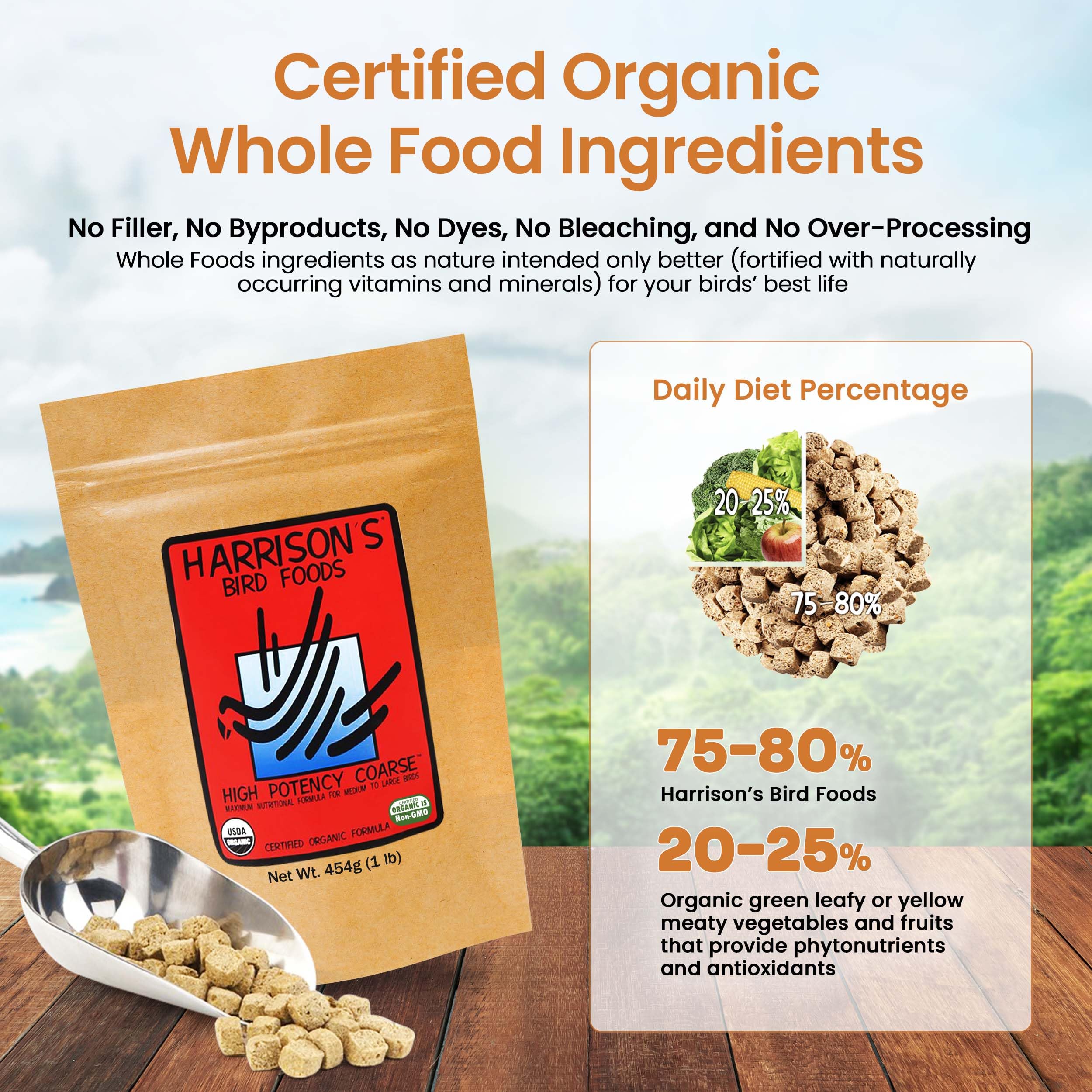 Perroquet mangeant Harrison's Bird Foods, favorise une alimentation complète