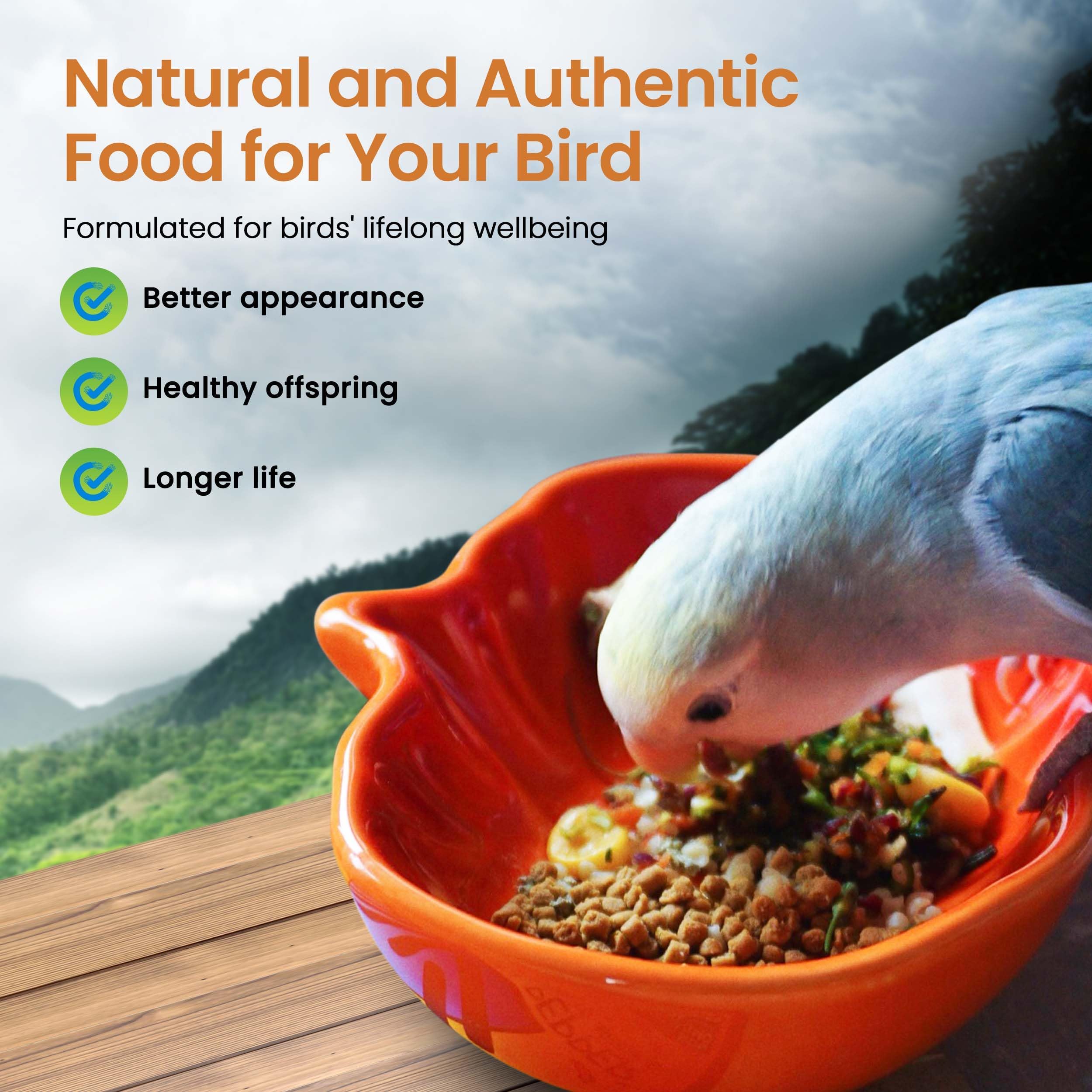 Harrison's Bird Foods contenu dans une coupelle, portion prête à servir
