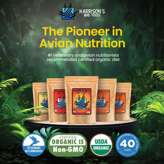 Harrison's Bird Foods granulométrie fine en gros plan, facilite ingestion