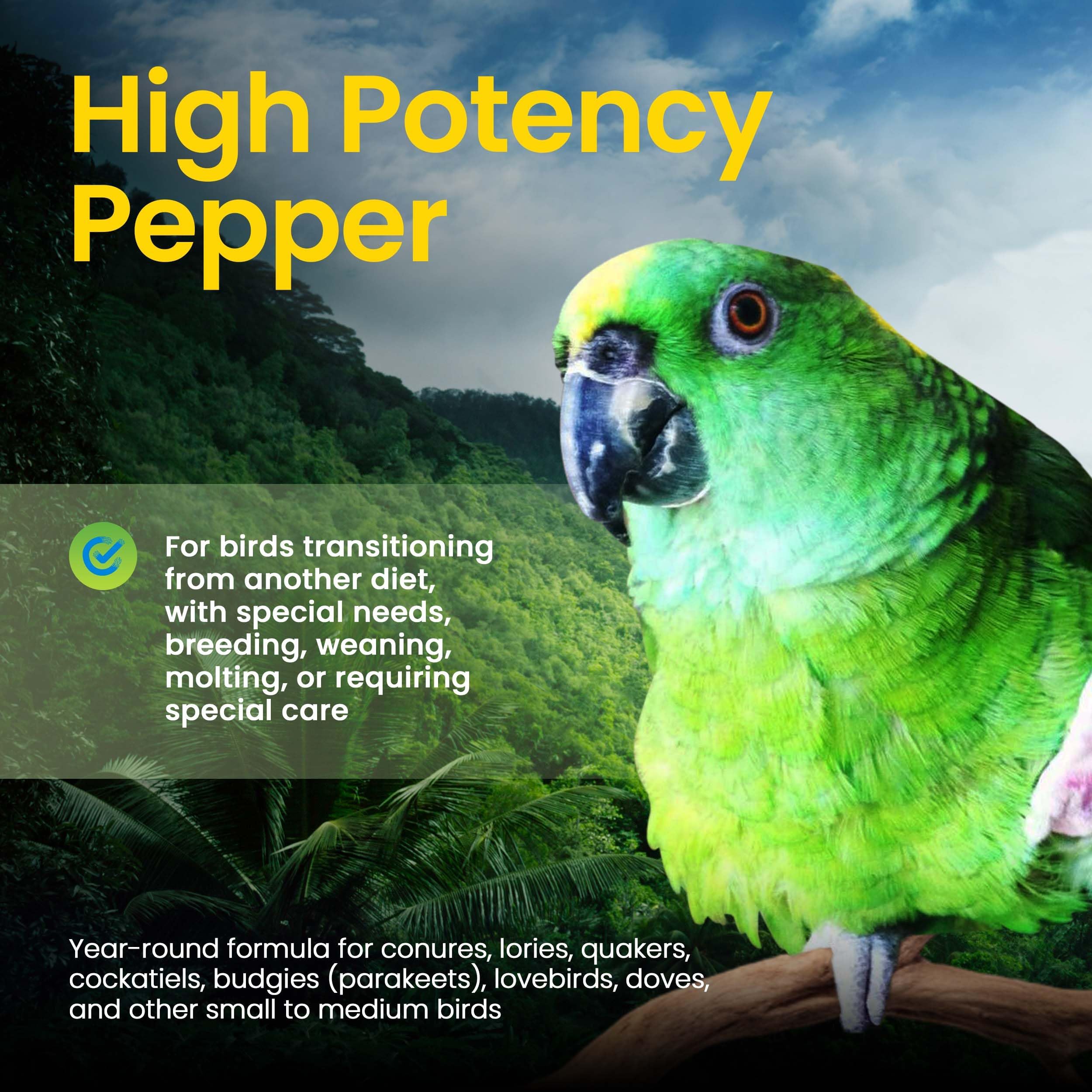 Harrison's Bird Foods oiseau mangeant, favorise alimentation naturelle
