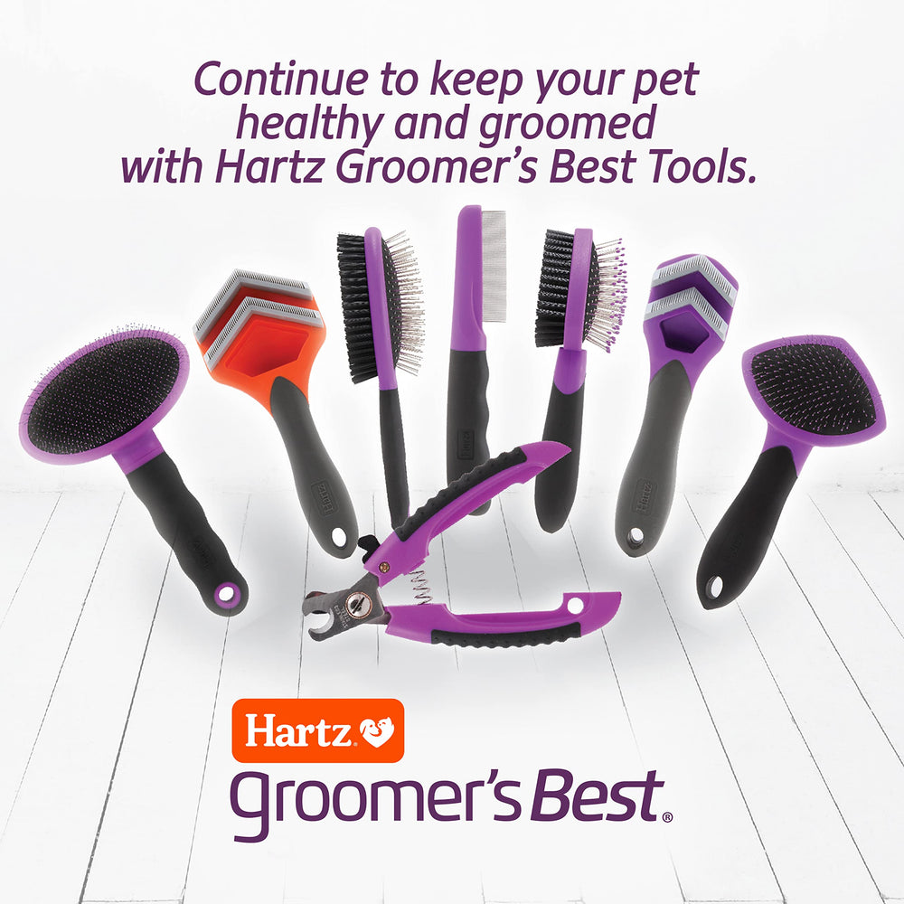 Hartz brosse à l’échelle de la main pour visualiser la taille et la maniabilité