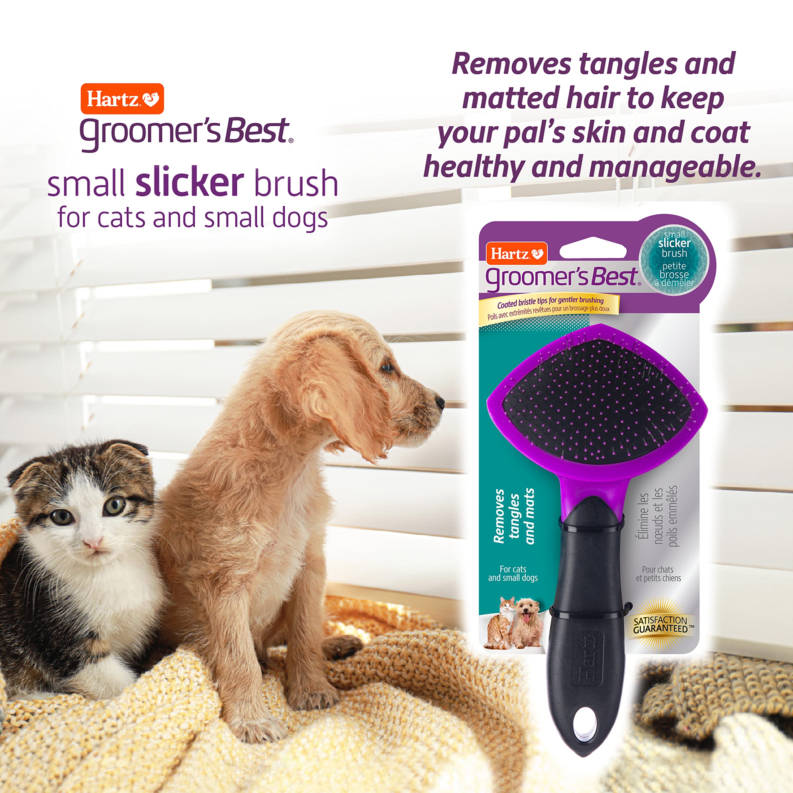 Hartz brosse prise ergonomique offrant confort et contrôle lors du brossage