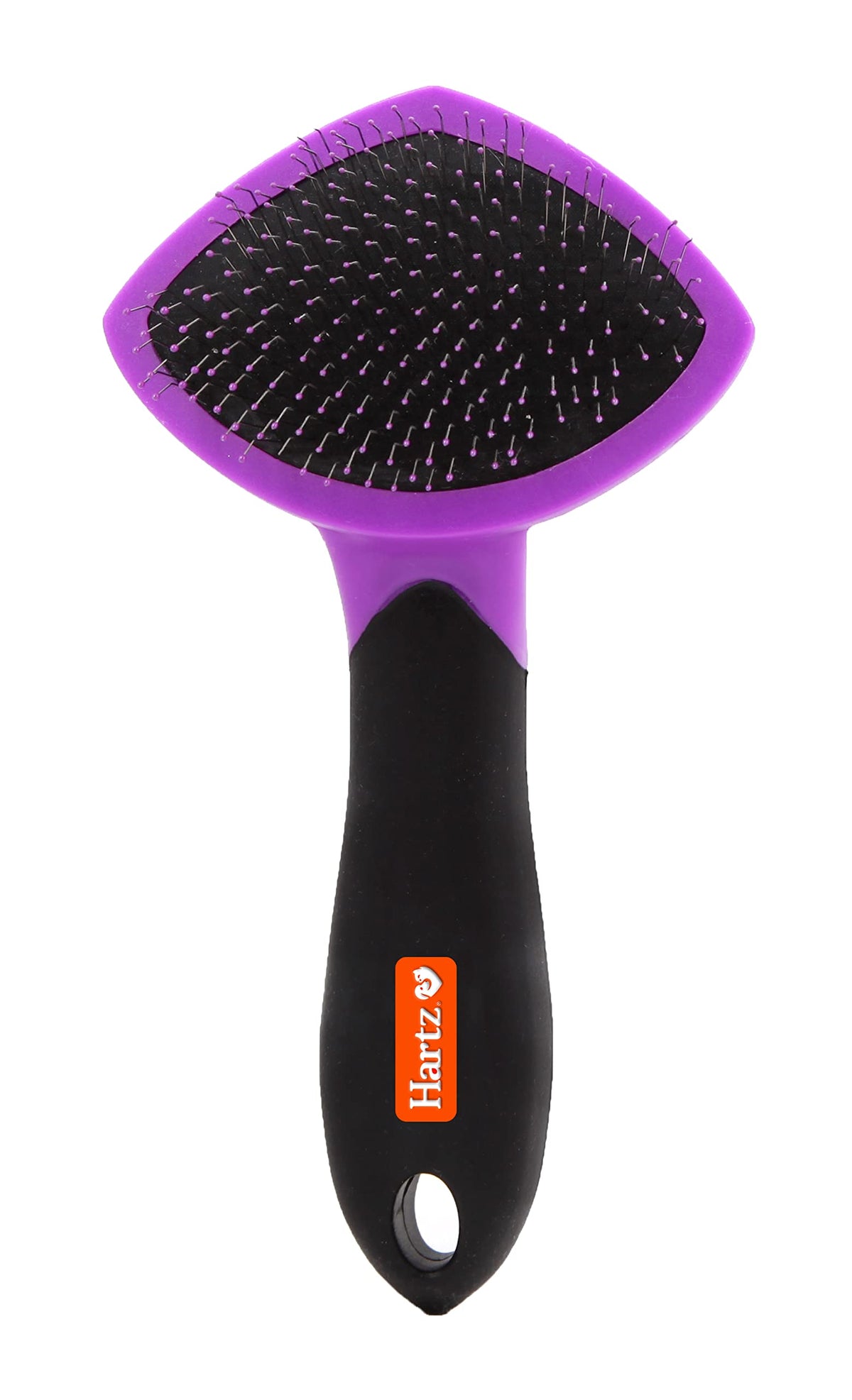 Hartz brosse slicker face avant montrant les deux surfaces et gain de douceur