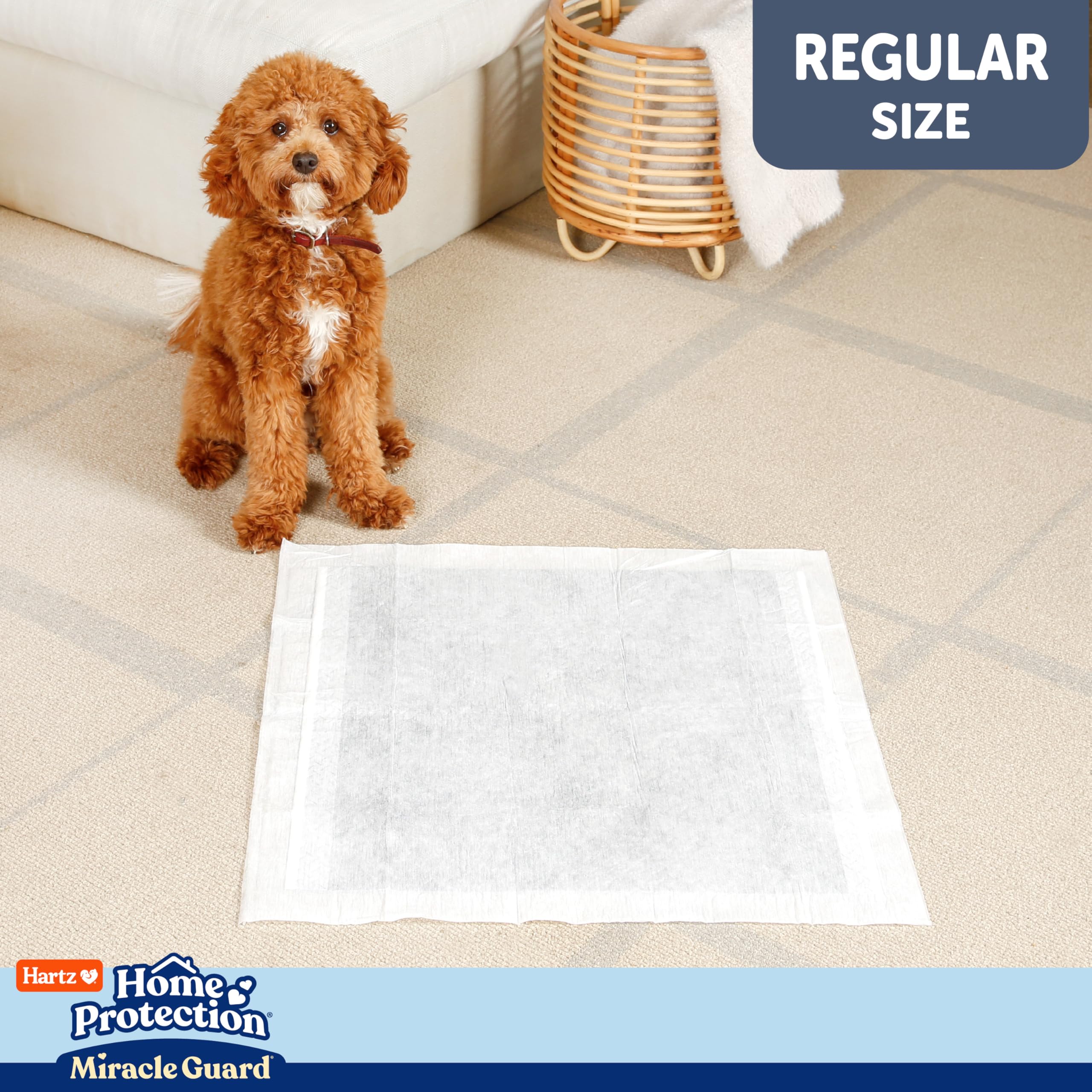 Hartz chiot apprenant la propreté avec tapis absorbant et fiable