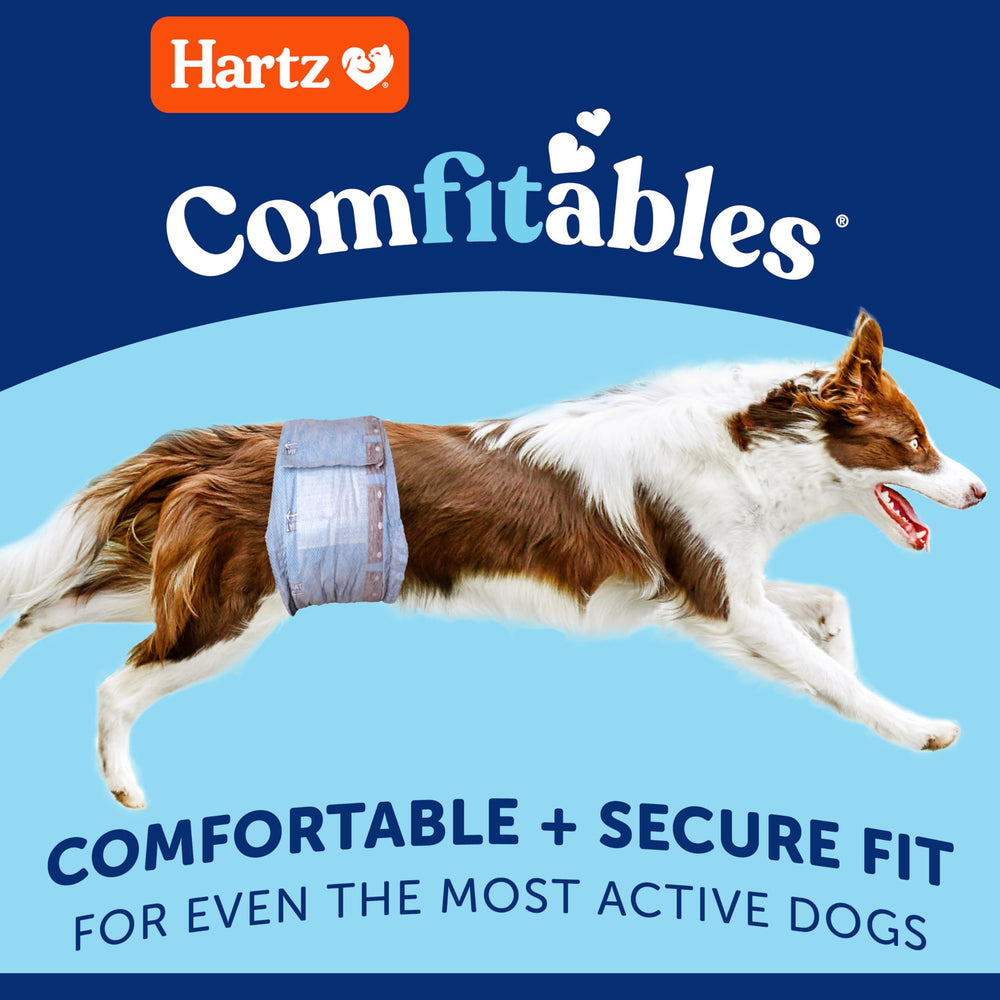 Hartz Comfitables détail de la ceinture extensible pour maintien souple