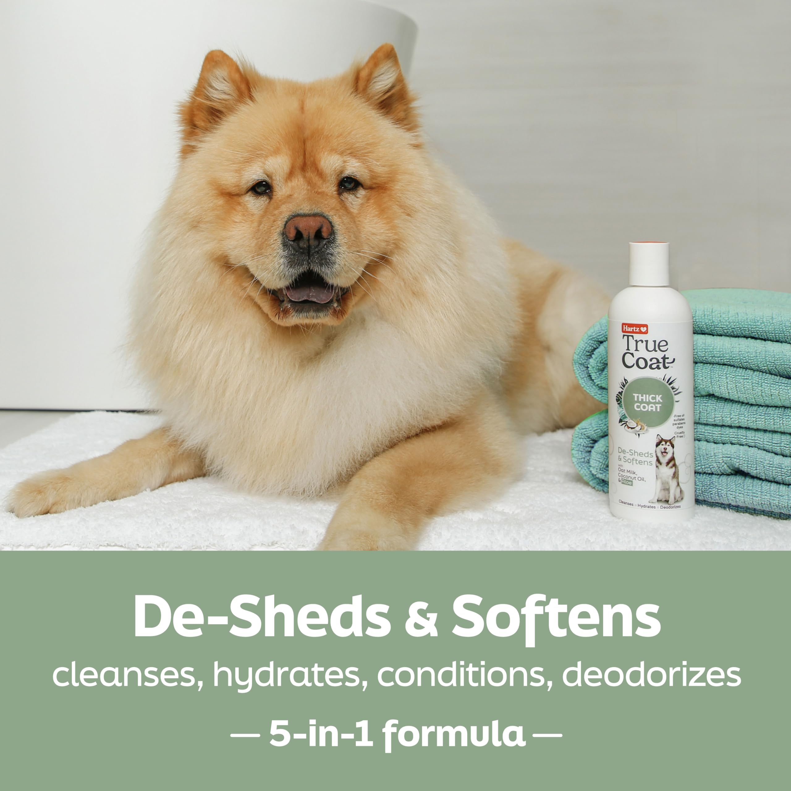 Hartz gros plan texture du shampooing pour meilleure pénétration