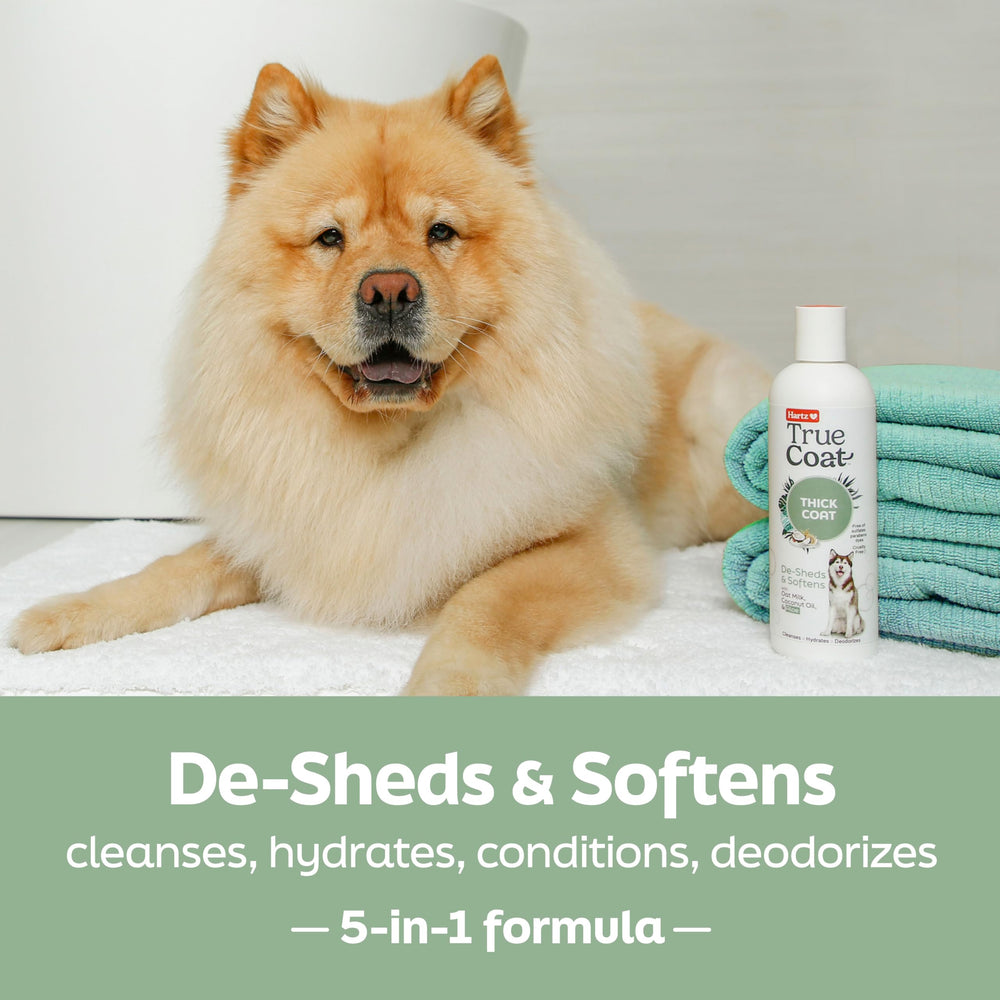 Hartz gros plan texture du shampooing pour meilleure pénétration